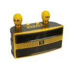 Ασύρματο ηχείο Bluetooth με 2 μικρόφωνα Karaoke – YS-202 – 887165 – Gold