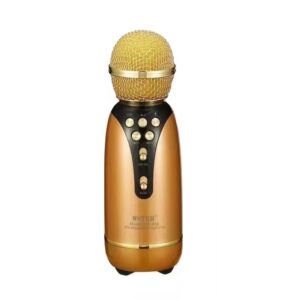 Ασύρματο μικρόφωνο Karaoke – WS-899 – Weisre – 883358 – Gold