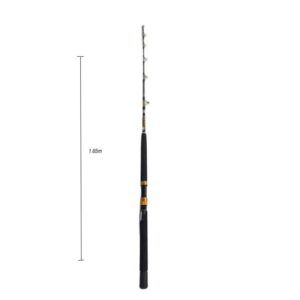 Καλάμι ψαρέματος 1.65m – Fishing rod z692528