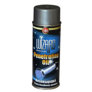 ΛΙΠ.WIZARD ΑΝΤΙΣΚΩΡΙΑΚΟ 400ml. 13456