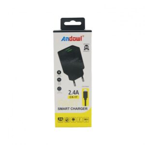 ΦΟΡΤΙΣΤΗΣ SMART CHARGER TYPE-C 2.4A ANDOWL AN-CX-17type-c